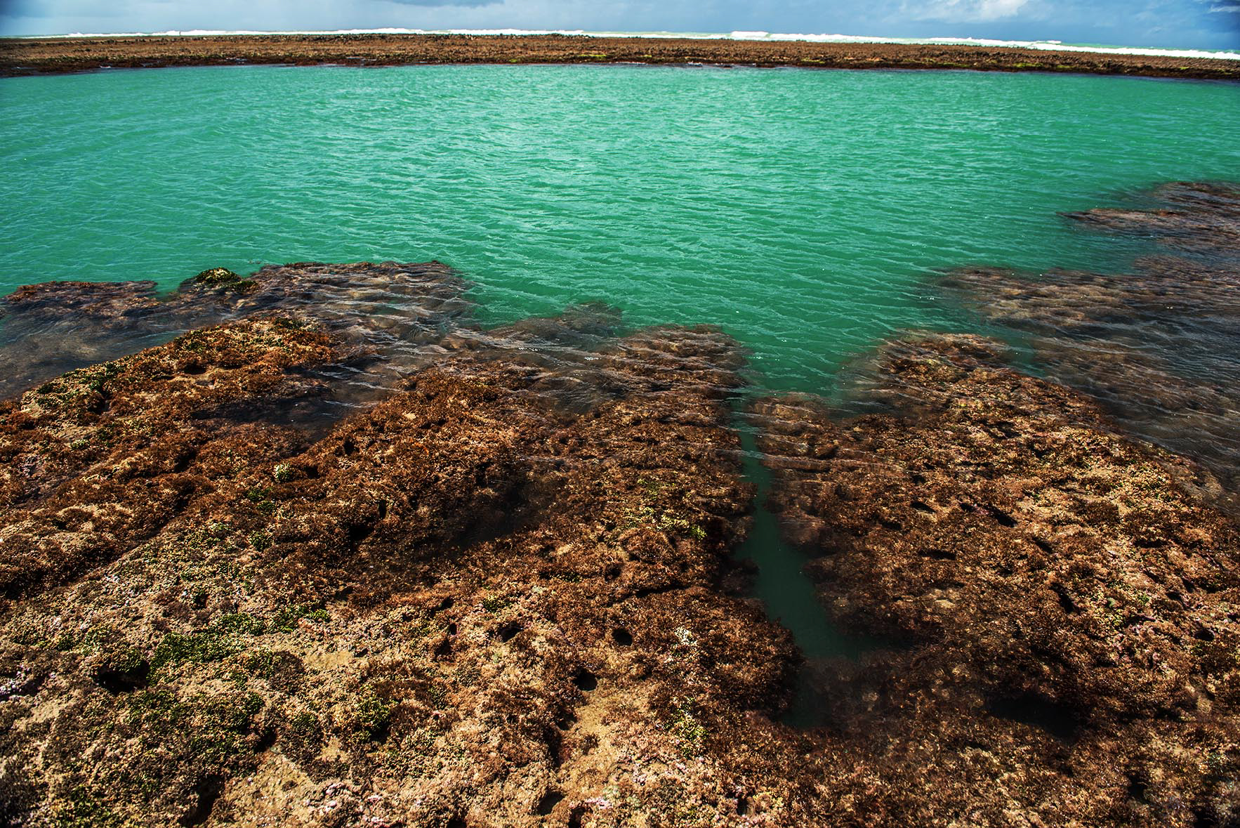 Porto de Pedras — Litoral Norte · Rota Ecológica